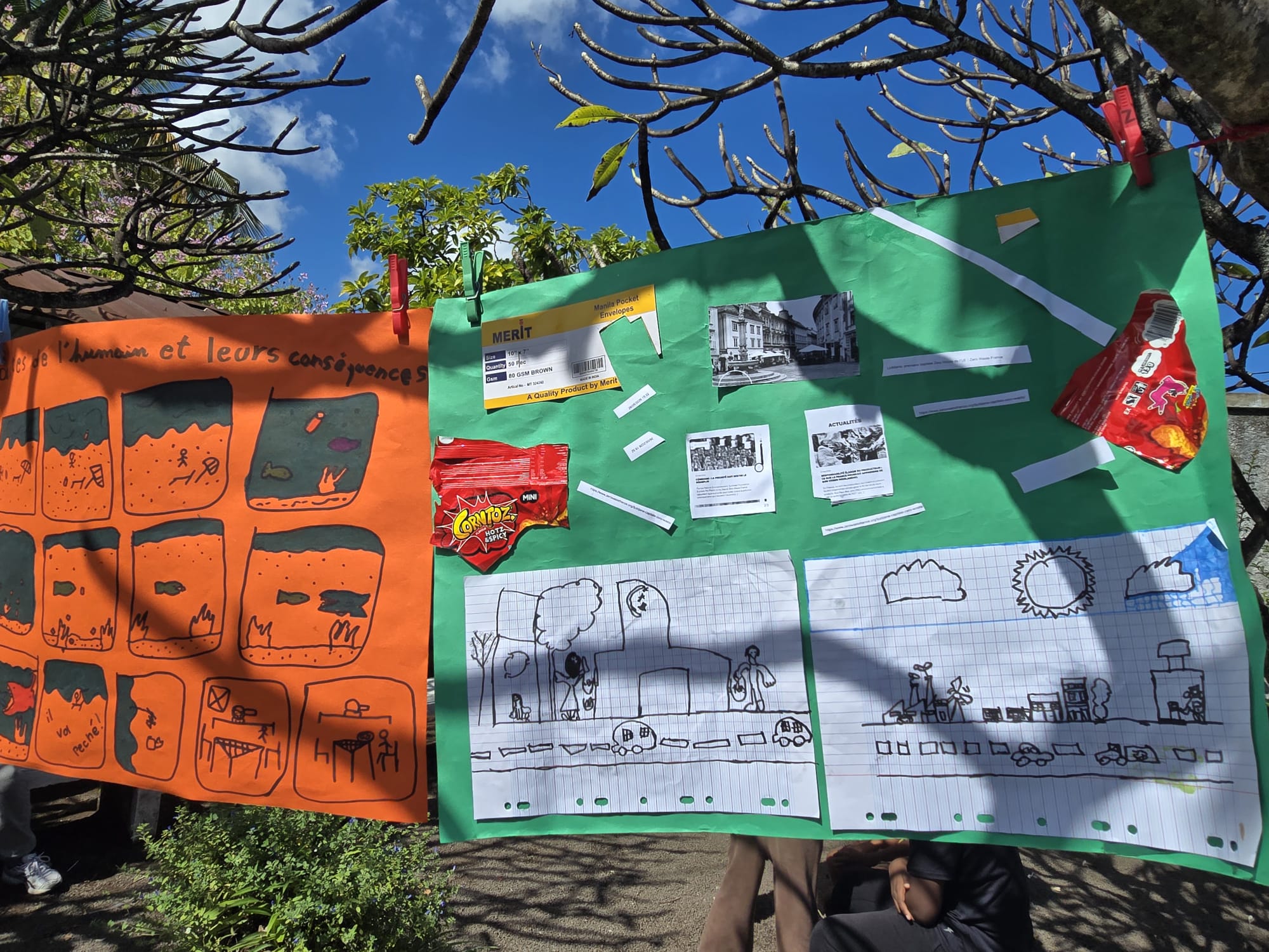 Projet environnement en classe